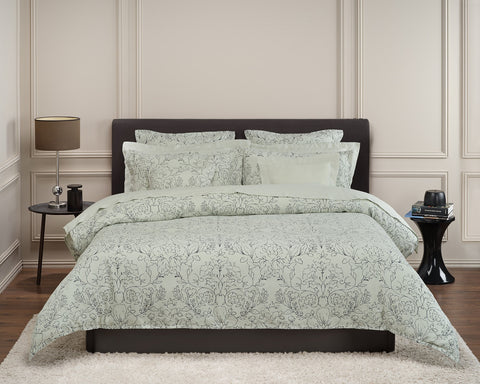 Amor Perfeito Verbena