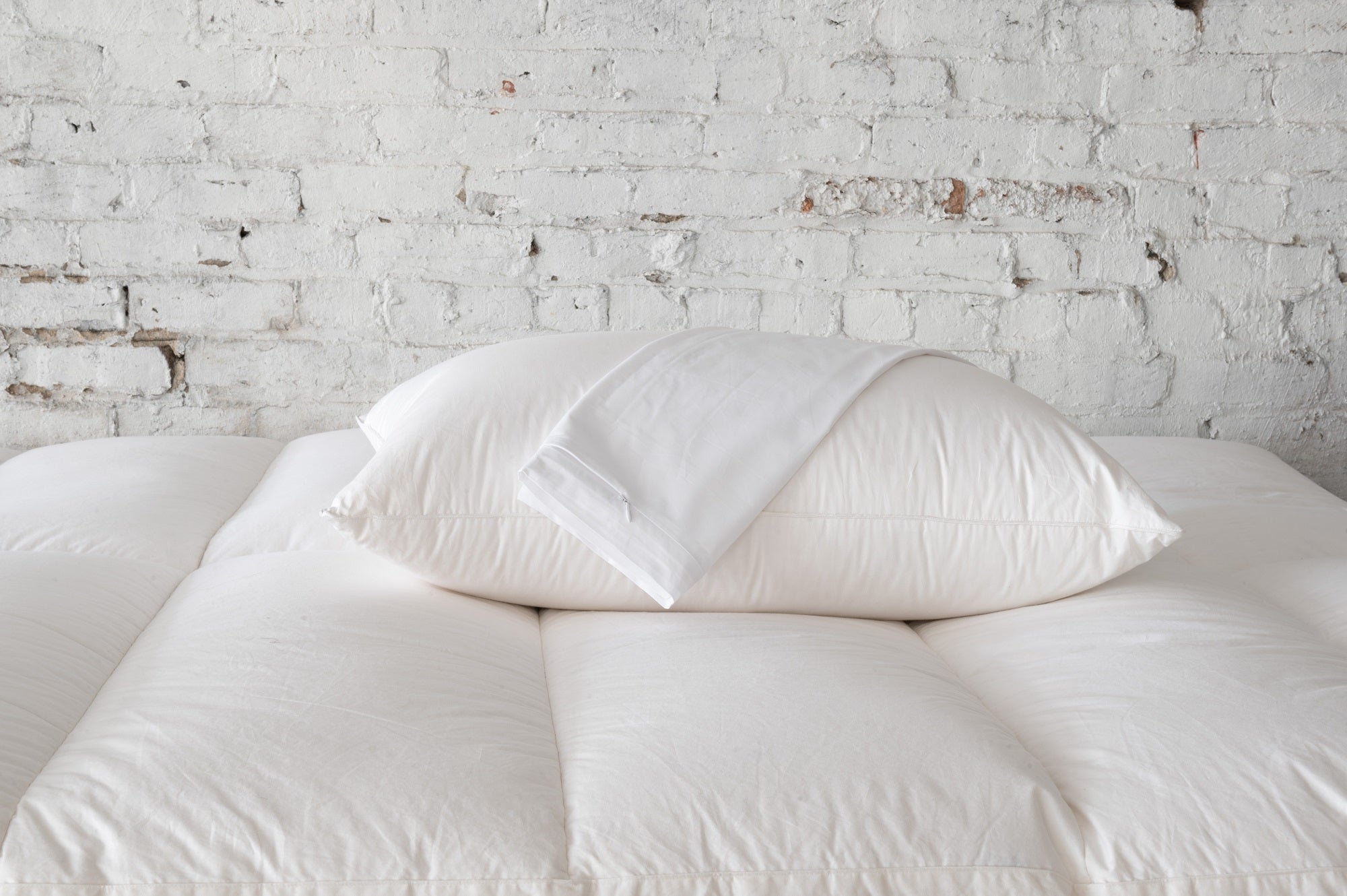 Allergy Pillow Protector