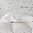 Allergy Pillow Protector