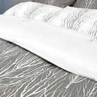 Mantra Light or Dark