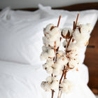 Nico Organic Percale Sheet Set