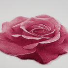 Passion Rug
