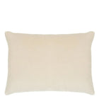 Cassia Velvet Decorative Pillow